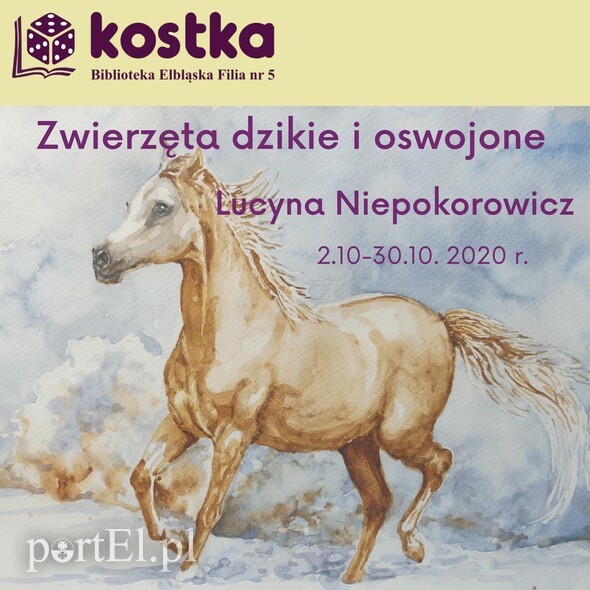 Elbląg, Zwierzęta dzikie i oswojone na wystawie