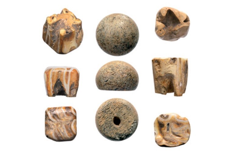 Elbląg, Janów/Truso, pionki do gry wykonane z zębów konia i kości walenia (pośrodku), "Truso: legenda Bałtyku"