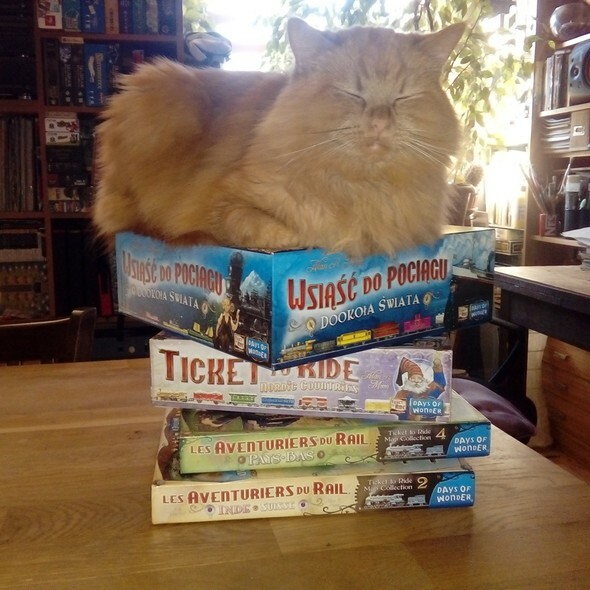 Elbląg, Na pandemię... planszówki