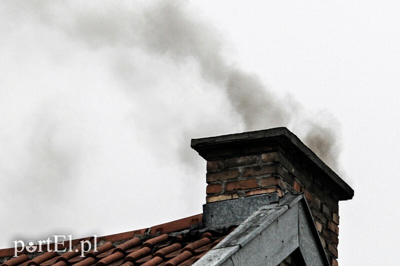 Elbląg, Strażnicy miejscy walczą z nielegalnymi palaczami odpadów