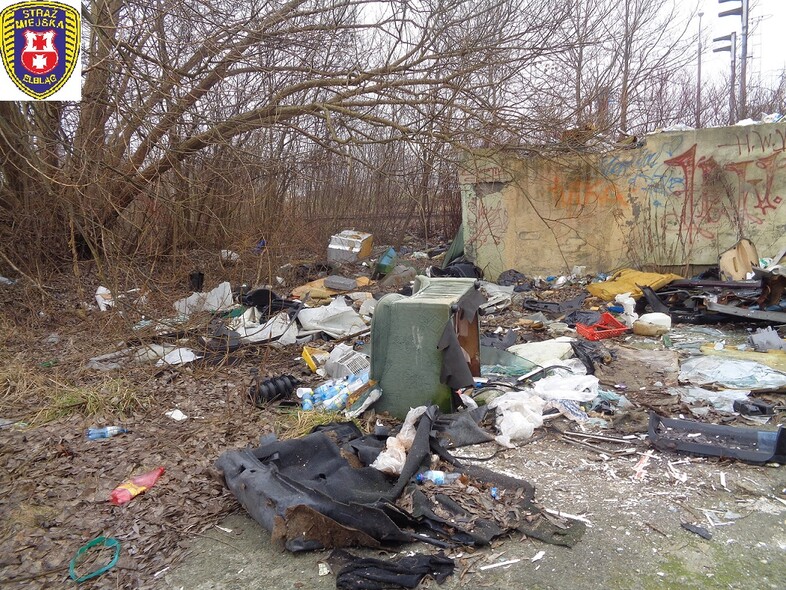Elbląg, Akcja Posesja, czyli czas na porządki Elbląg, Akcja Posesja, czyli czas na porządki
