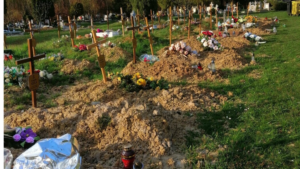 Elbląg, Groby bezdomnych i NN na Dębicy,