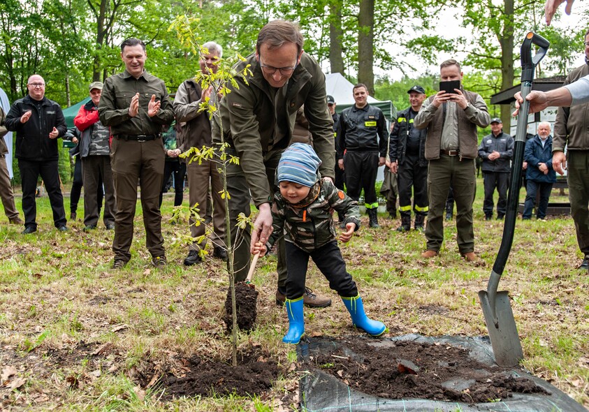 Elbląg, "Tysiąc drzew na minutę"