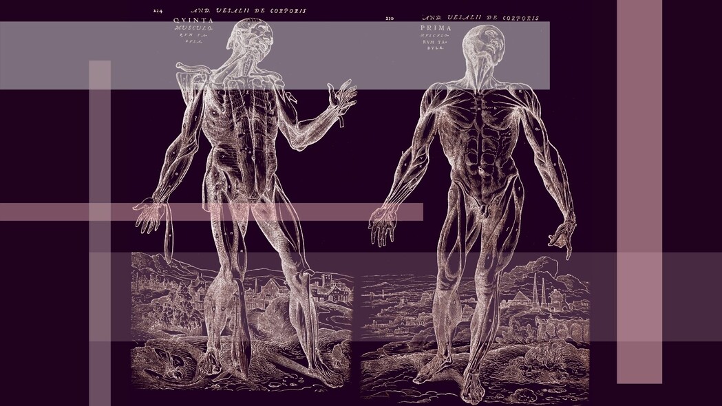 Elbląg, Wyjątkowa wystawa w Bibliotece Elbląskiej