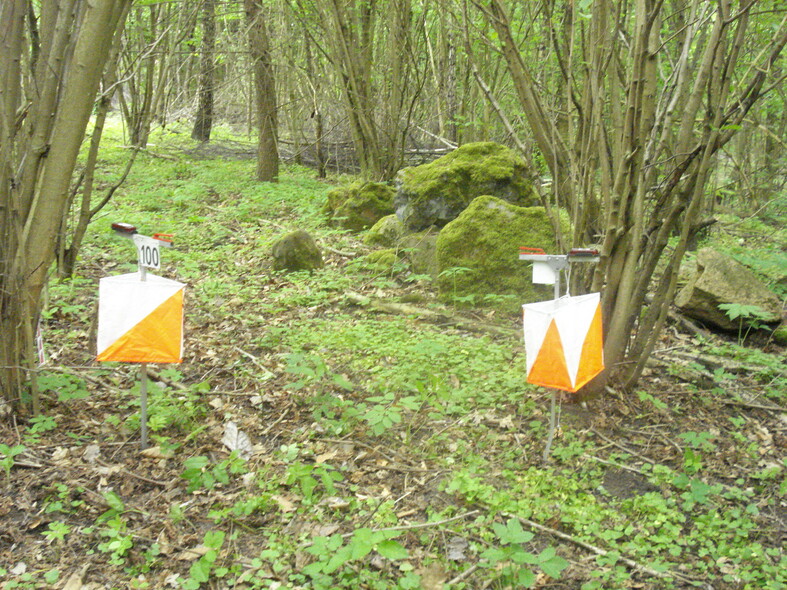 Elbląg, arch. klubu