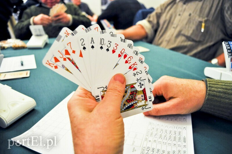 Elbląg, Elbląska Internetowa Liga Brydżowa