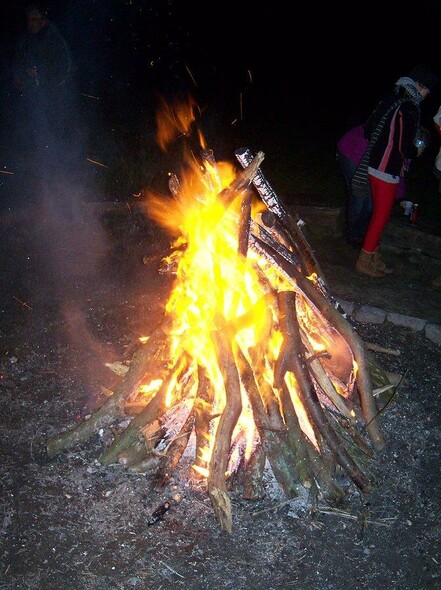 Elbląg, Survival, co to takiego?