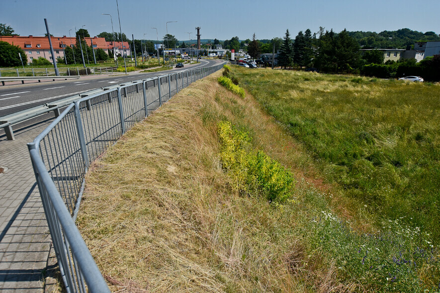 Elbląg, Na tej działce ma powstać stacja obsługi pojazdów