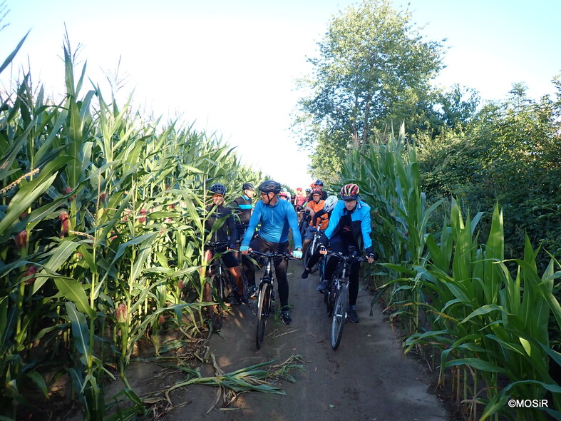 Elbląg, Nieznana ulica Kalinowa