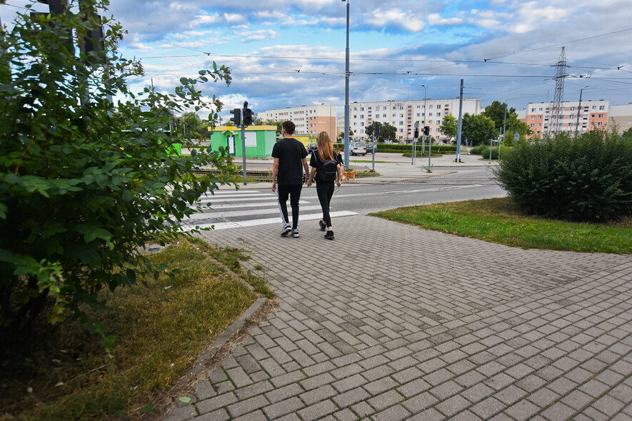 Elbląg, Czytelniczka: Krzaki zasłaniają pieszych przy przejściach