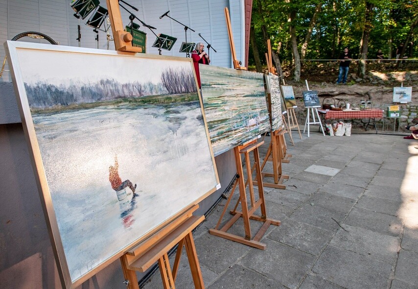 Elbląg, Prace Alicji Król, stypendystkai z 2020 r., która otrzymała stypendium na realizację projektu "Żuławy okiem wiedźmy"