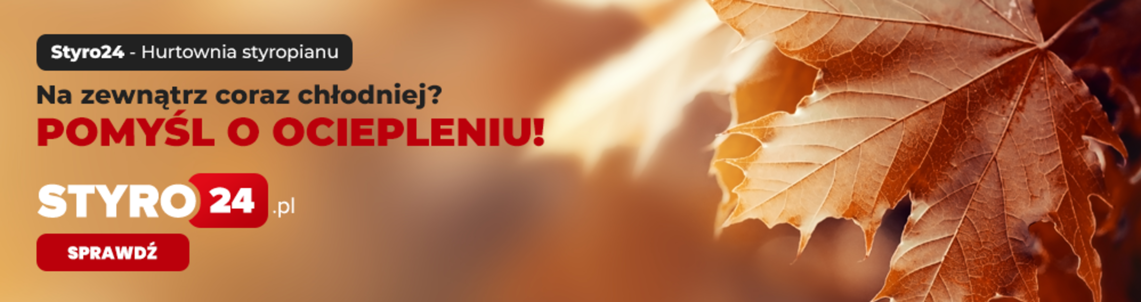 Kompleksowe ocieplenie domu - wszystko, co musisz wiedzieć na temat styropianu!