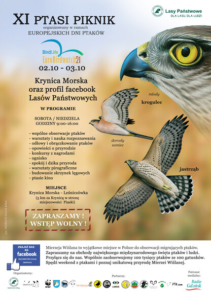 Elbląg, Ptasi weekend Elbląg, Ptasi weekend