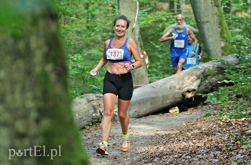 Elbląg, Ultra Wysoczyzna - odkryj nieodkryte! Poznaj Wysoczyznę!