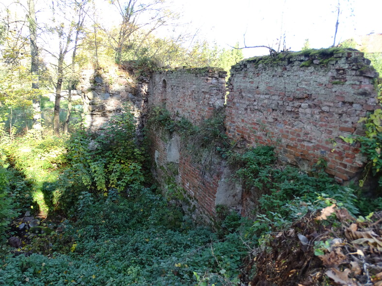 Elbląg, Ruiny zabytkowego młyna, w ich okolicach powstanie nowy amfiteatr,