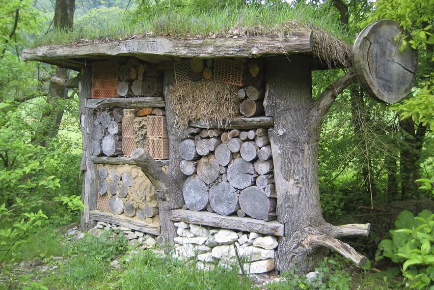 Elbląg, © User:bdk / Wikimedia Commons