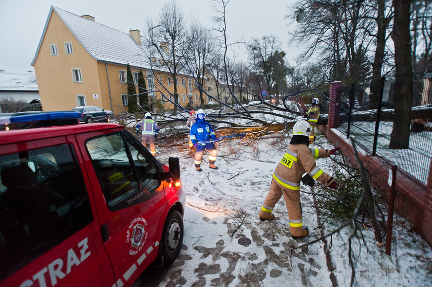 Elbląg, Strążacy z Elbląga usuwają wiatrołomy