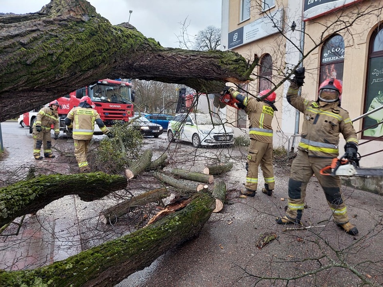 Elbląg, Drzewo spadło na zaparkowane przy ul.  Pestalozziego samochody,