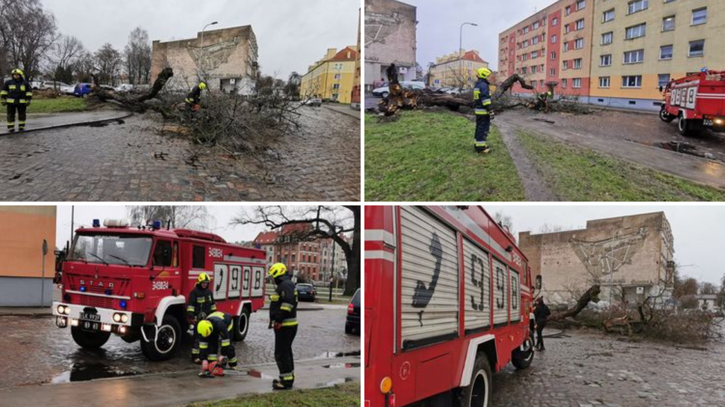 Elbląg, Zdjęcie nadesłane przez Czytelnika. Strażacy usuwają powalone przez wiatr drzewo przy ul. Krótkiej Elbląg, Zdjęcie nadesłane przez Czytelnika. Strażacy usuwają powalone przez wiatr drzewo przy ul. Krótkiej
