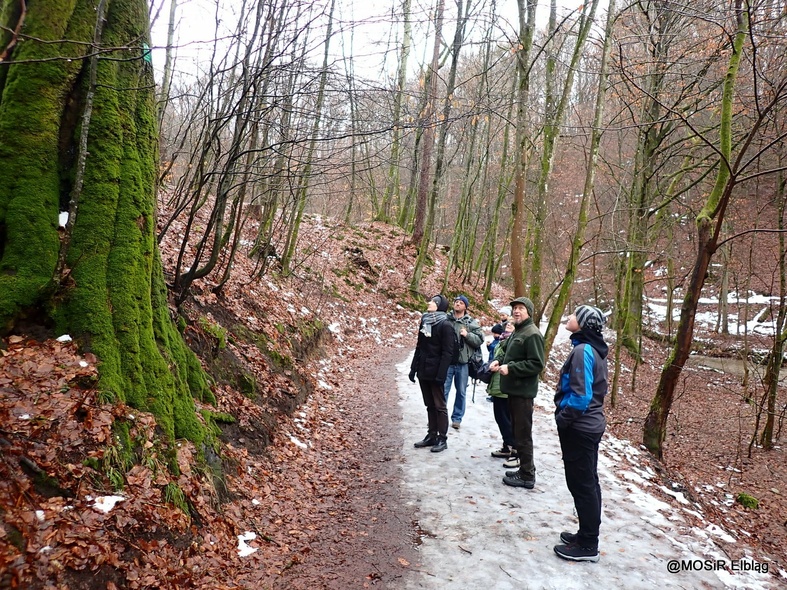 Elbląg, Ferie z MOSiR-em na świeżym powietrzu