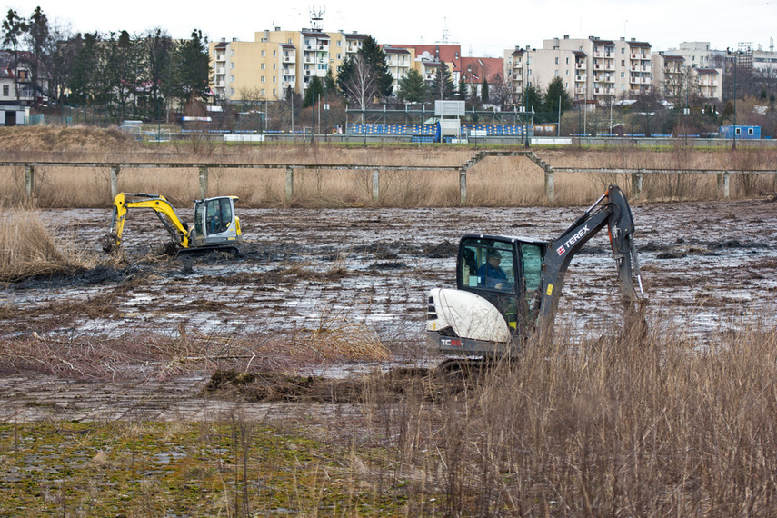 Elbląg, Porządkują nieckę byłego basenu