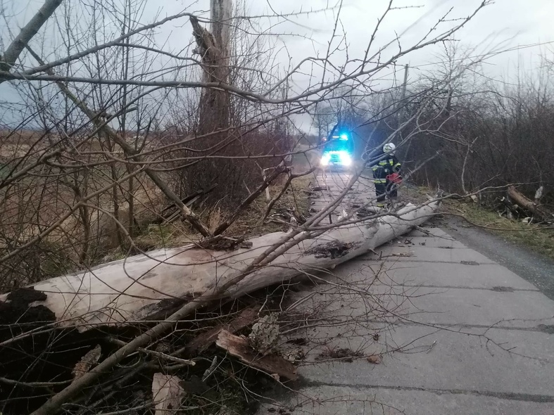 Elbląg, Droga w okolicach Stankowa, gmina Markusy,