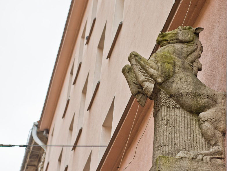 Elbląg, Quiz. Elbląg zwiedzimy, w tle częstochowskie rymy