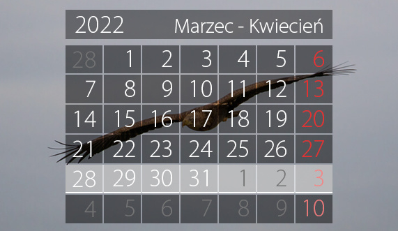 Elbląg, W tym tygodniu portEl poleca: spotkania autorskie i koncert wielkanocny