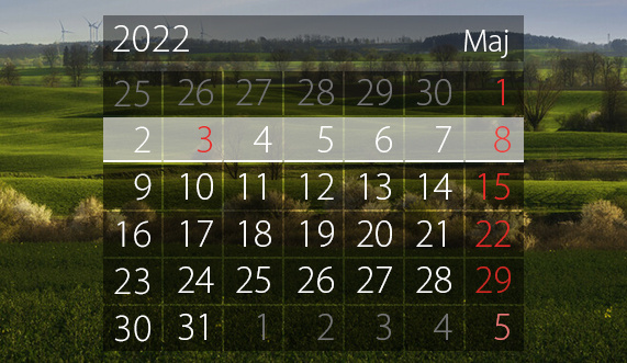 Elbląg, W tym tygodniu portEl poleca: koncert muzyki polskiej i paradę wodną