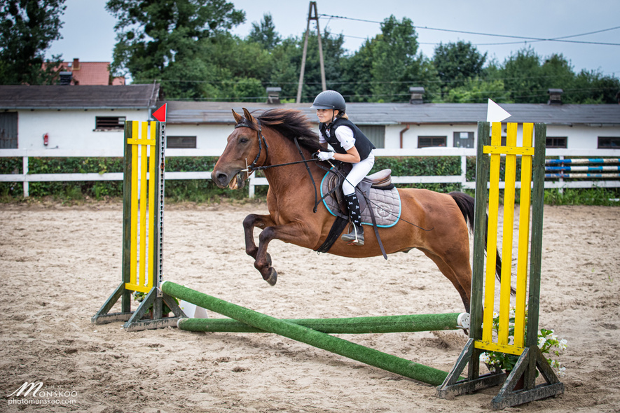 Elbląg, Startuje szósty sezon zawodów jeździeckich dla dzieci