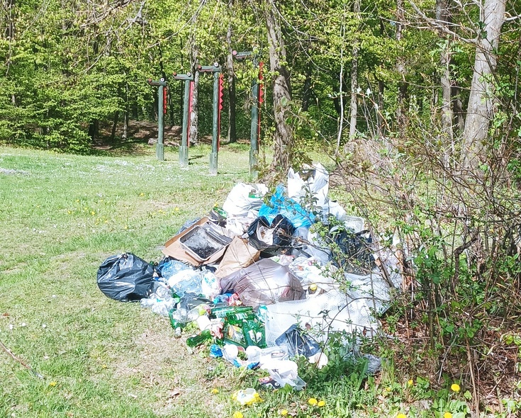 Elbląg, Nie dostać kosza Elbląg, Nie dostać kosza