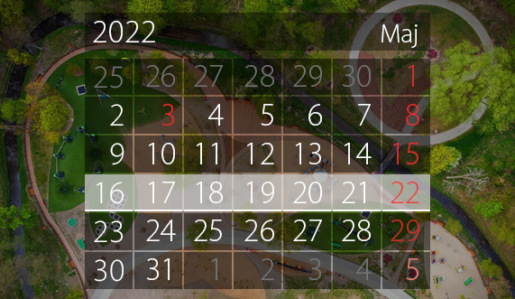 Elbląg, W tym tygodniu portEl poleca: piknik familijny i Festiwal Kultury Ukraińskiej