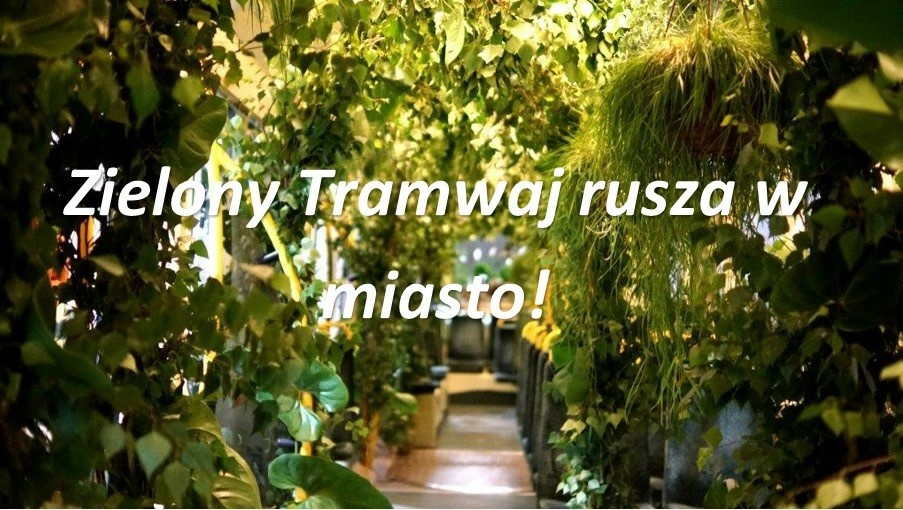 Elbląg, Zielony Tramwaj ruszy w miasto! 