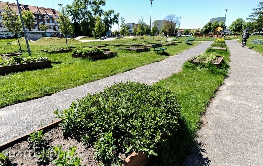 Elbląg, Drugie podejście do rowerowego miasteczka