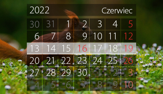 Elbląg, W tym tygodniu portEl poleca: koncerty, biegi i festyn charytatywny