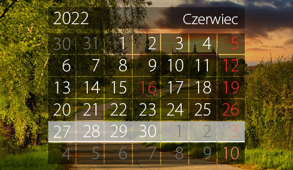 Elbląg, W tym tygodniu portEl poleca: Letni Salon Muzyczny i Sobotę z przewodnikiem