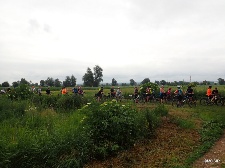 Elbląg, Zwiedziliśmy Wyspę Nowakowską