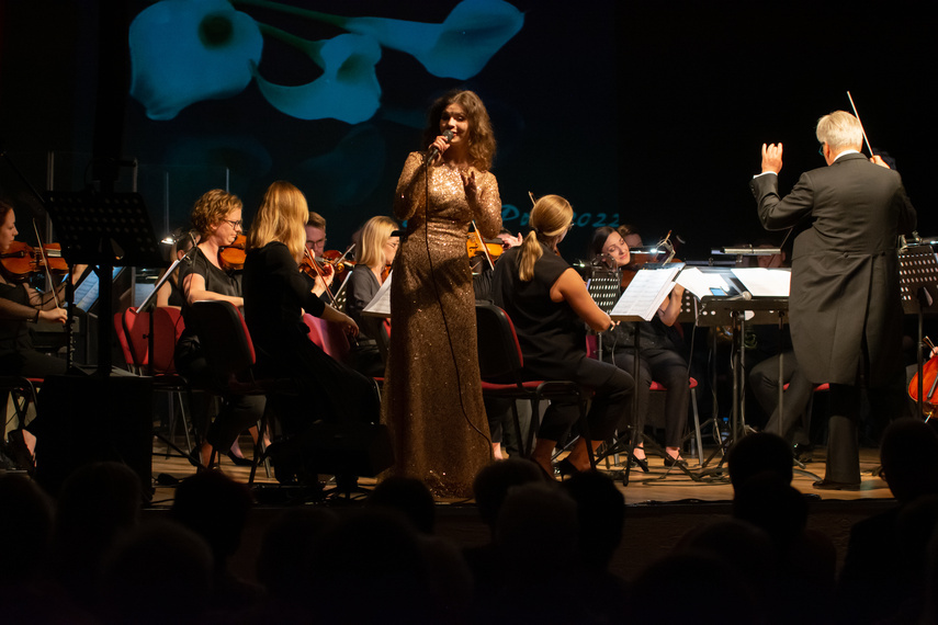 Elbląg, I dwa bisy to za mało