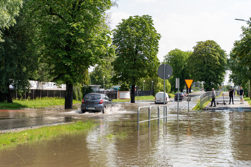 Elbląg, Quizowe podsumowanie lipca Elbląg, Quizowe podsumowanie lipca