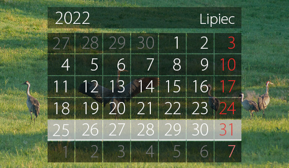 Elbląg, W tym tygodniu portEl poleca: Miasto.Gramy i zloty klasyków Elbląg, W tym tygodniu portEl poleca: Miasto.Gramy i zloty klasyków