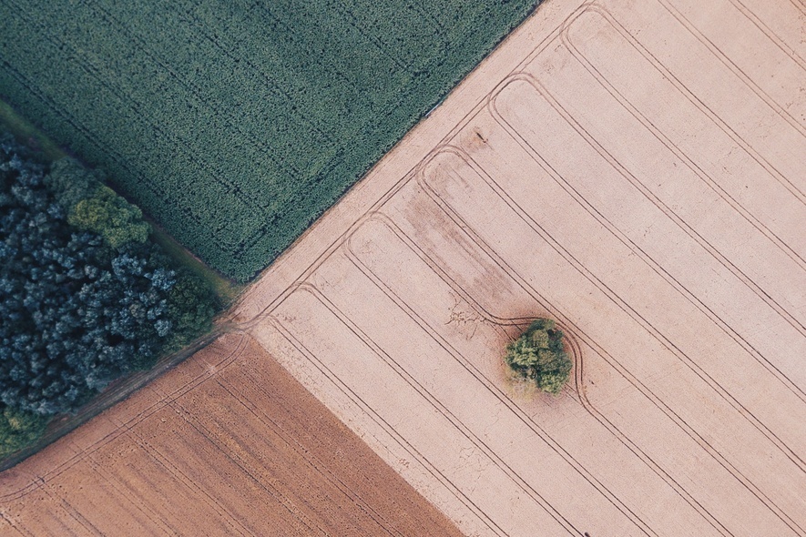 Elbląg, Numer działki - jak go ustalić na mapie? Elbląg, Numer działki - jak go ustalić na mapie?
