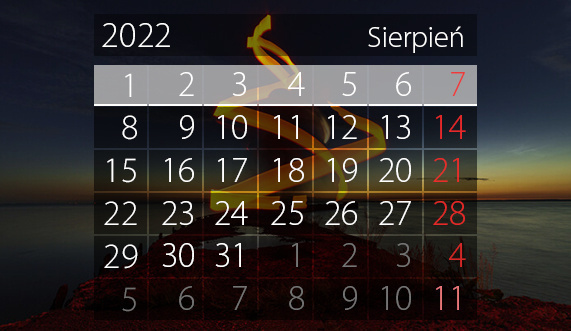 Elbląg, W tym tygodniu portEl poleca: Kino Pod Chmurką i Wakacje z MOSiR-em