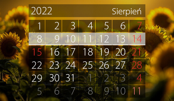 Elbląg, W tym tygodniu portEl poleca: koncerty w przystani i dyskusję o latach 90. Elbląg, W tym tygodniu portEl poleca: koncerty w przystani i dyskusję o latach 90.