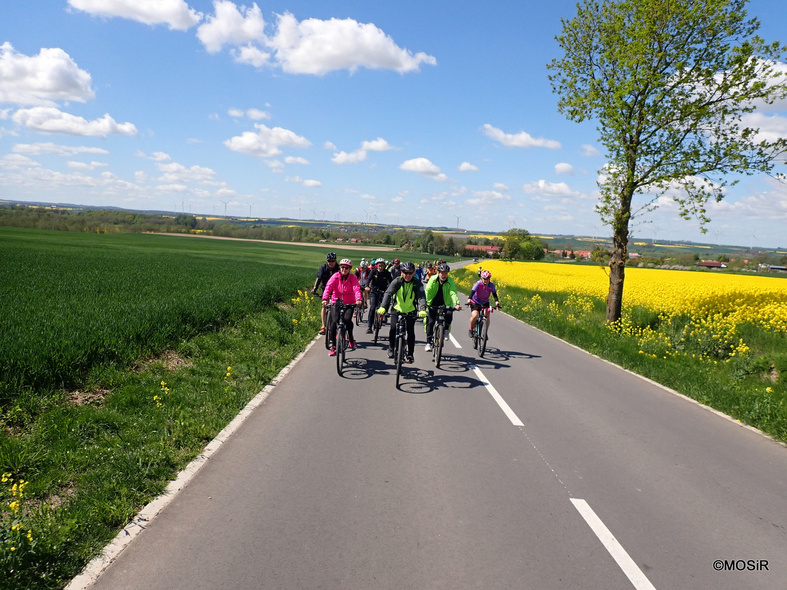 Elbląg, Weekendowe atrakcje z MOSiR-em