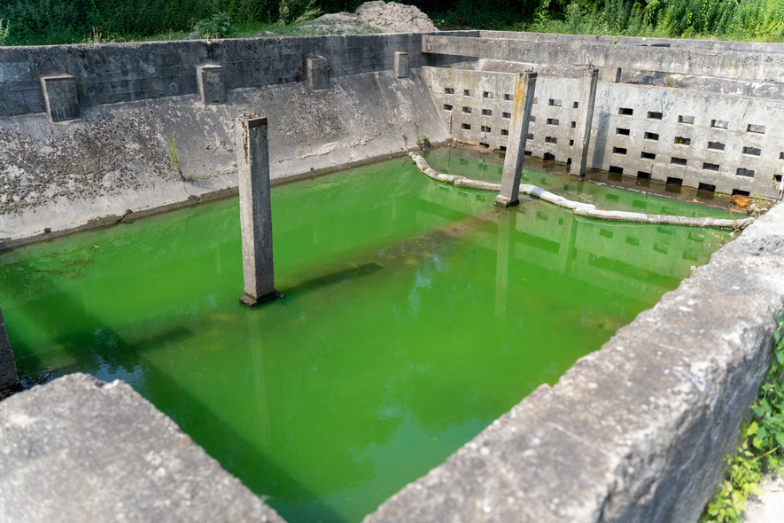 Elbląg, Zielona woda w zbiorniku przy ulicy Grażyny Elbląg, Zielona woda w zbiorniku przy ulicy Grażyny