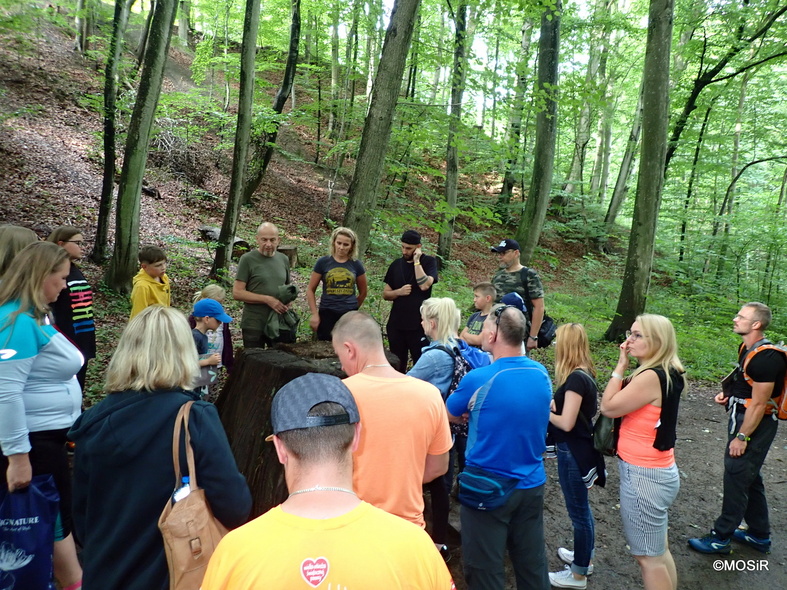 Elbląg, Wakacyjne spacery z leśnikiem