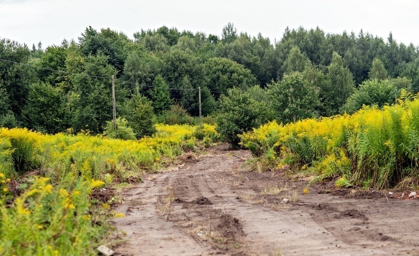 Elbląg, Wykonawca wytyczył już pas, na którym powstanie droga