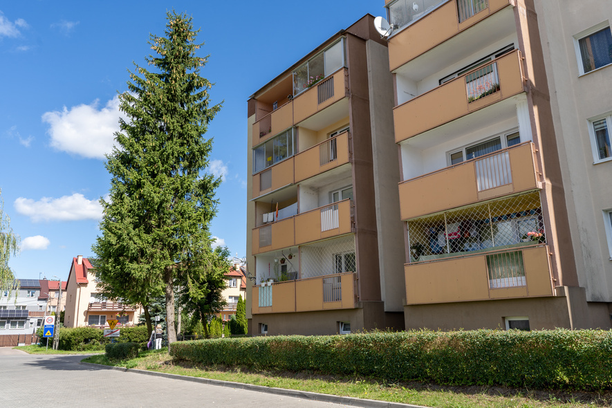 Elbląg, Świerk przy bloku na ul. Myliusa 1,
