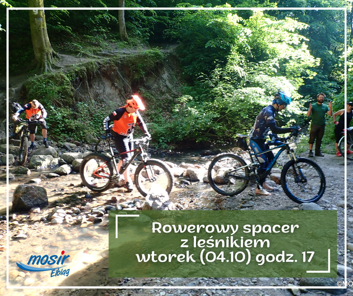 Elbląg, Rowerowe spacery z leśnikiem Elbląg, Rowerowe spacery z leśnikiem