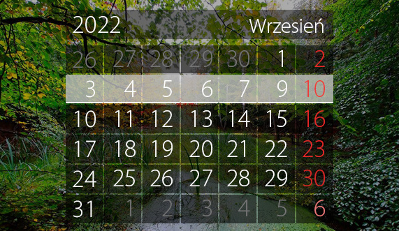 Elbląg, W tym tygodniu portEl poleca: Baltic Cup, Klub portElu i EOK Elbląg, W tym tygodniu portEl poleca: Baltic Cup, Klub portElu i EOK